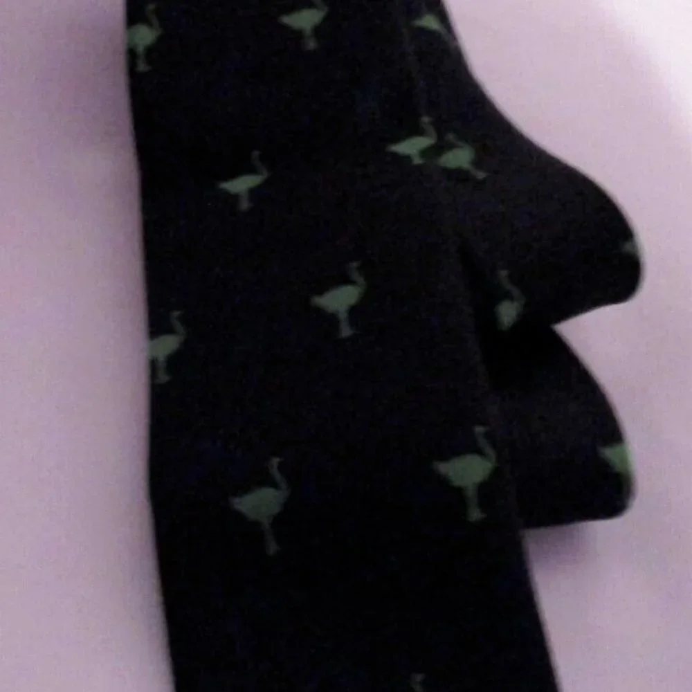 Ostrich Bird Allover - The Chive KCCO Necktie Mens Silk Black and Green